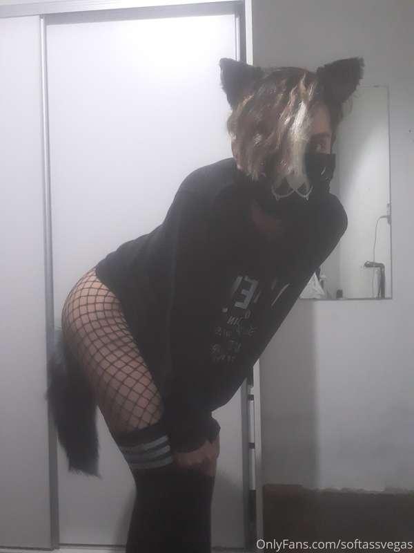 Hi