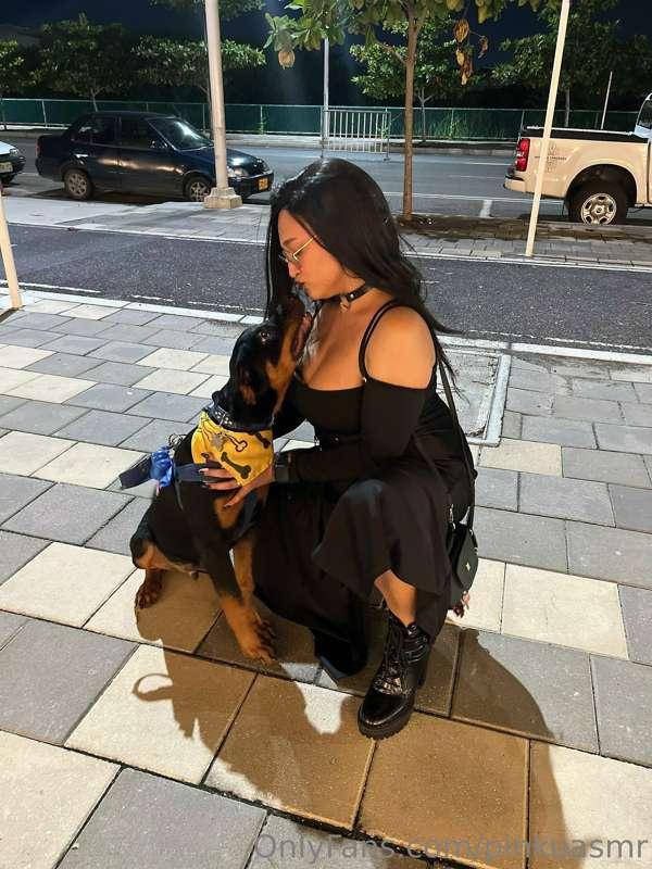 That little dog in the photo, that’s you my little boy 💕