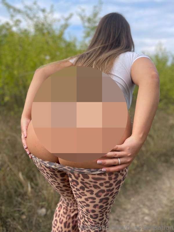 Have you ever seen a tiger in the wild? Well, now's your cha..