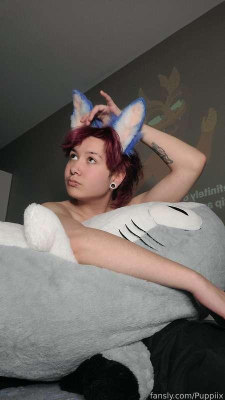 puppiix image #1