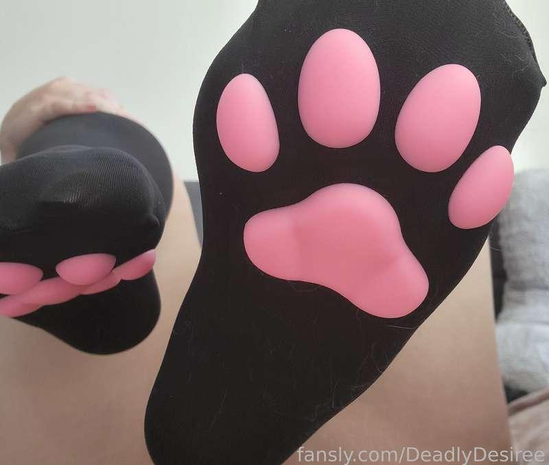 deadlydesiree image #8
