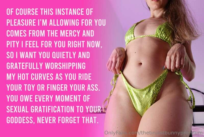 thetiniestbunnypremium image #1