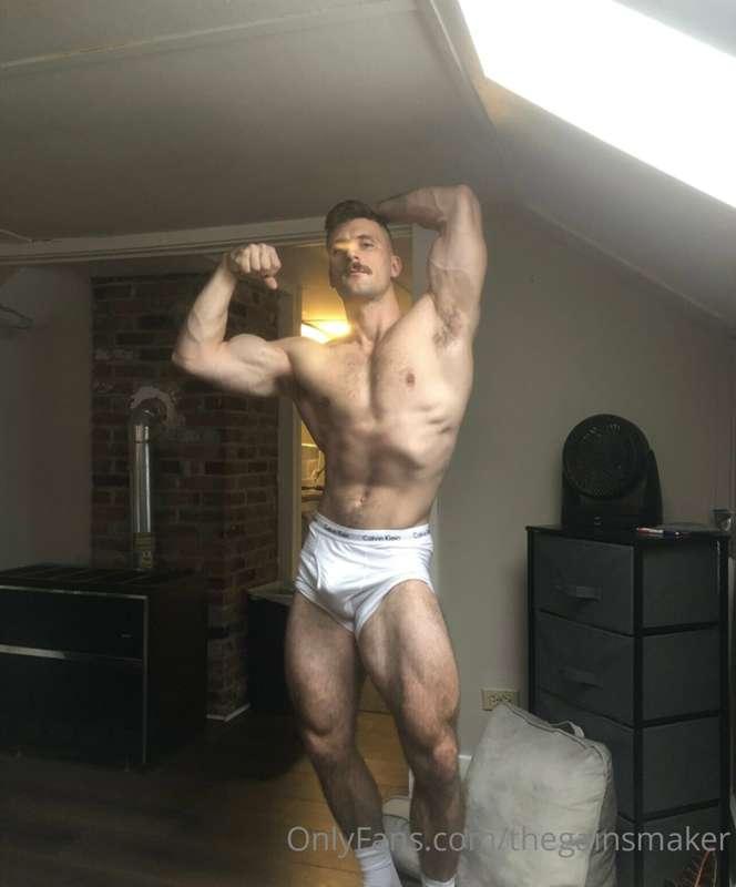 thegainsmaker image #2