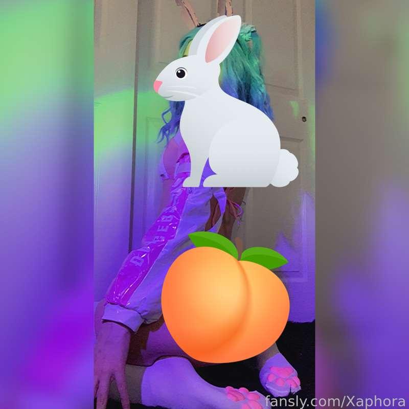 xaphora image #1