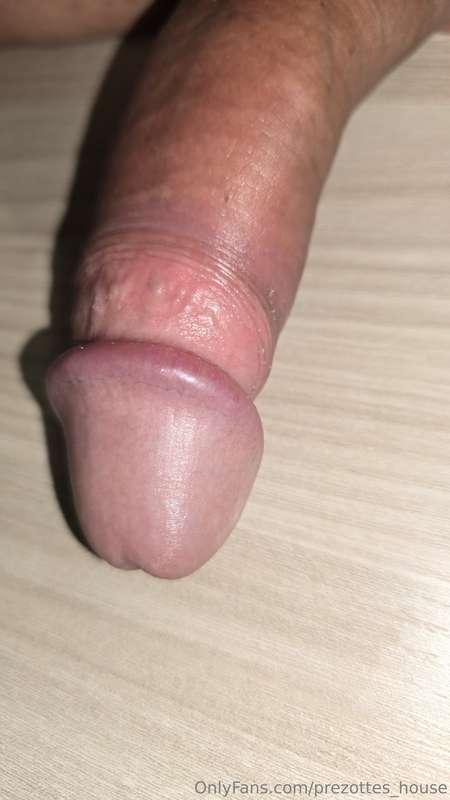 prezottes_house image #12