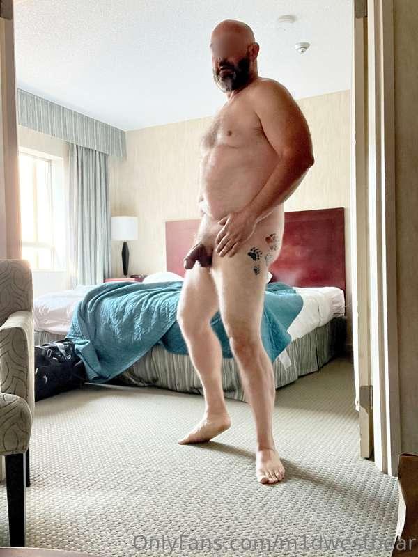 m1dwestbear image #7