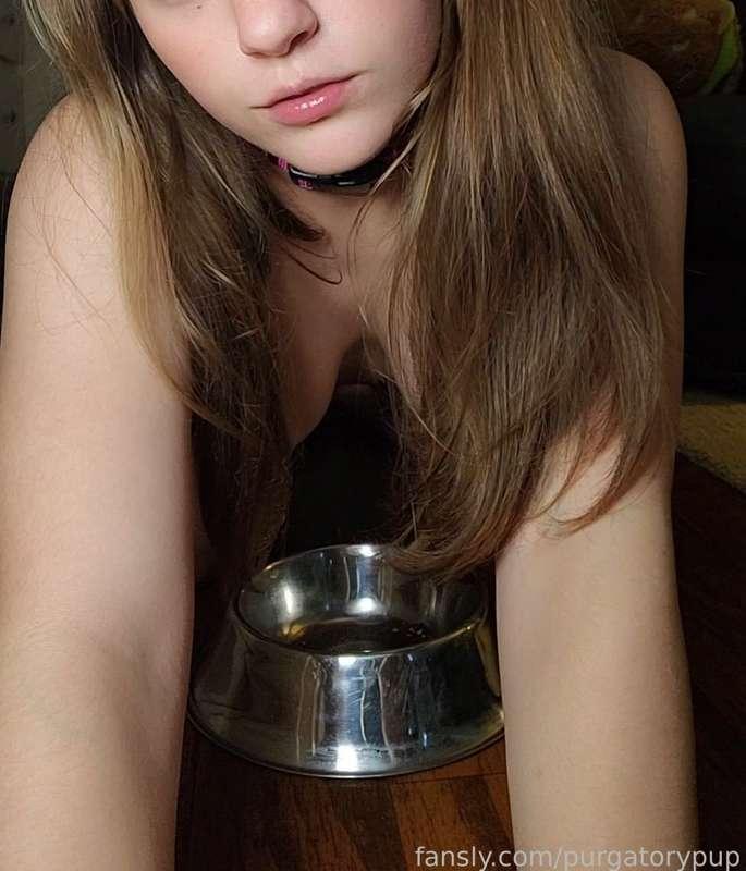 purgatorypup image #0