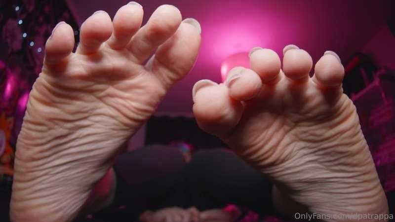 dpatrappa image #25