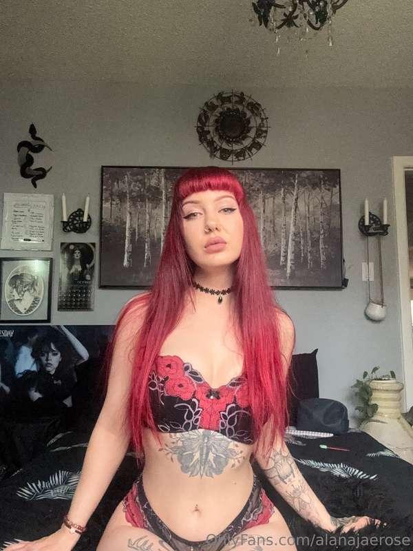 alanajaerose image #7