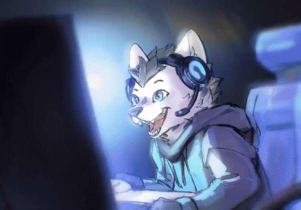 [REWARD] Streamer