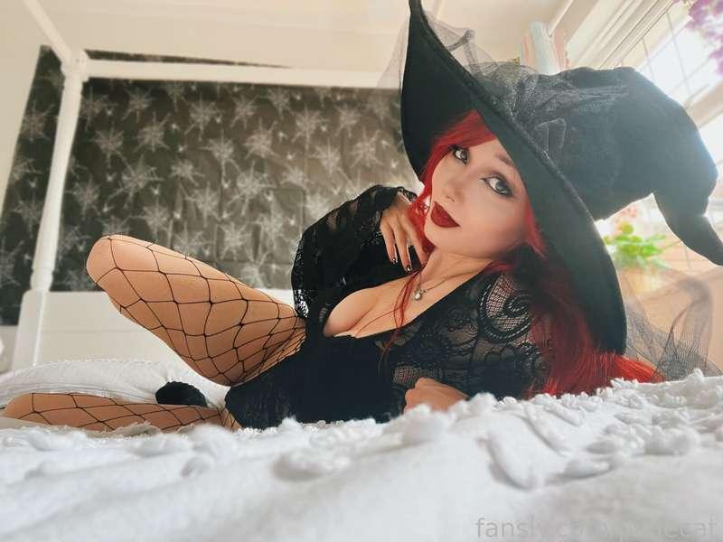 pixiecat image #18