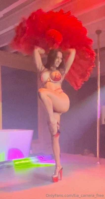 Sorry I’ve been absent! The last month of competing and show..