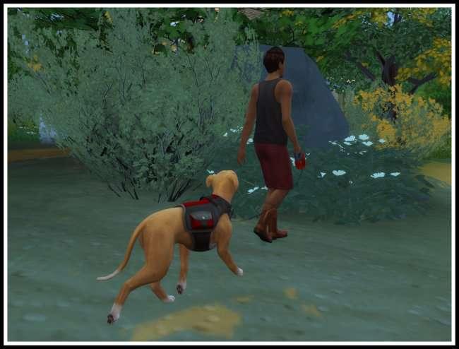New Mod "Dog Walker"