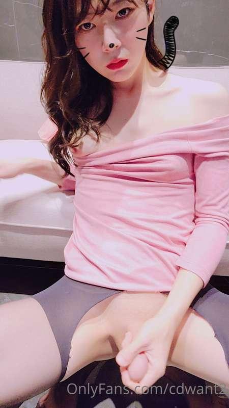 cdwant2 image #18