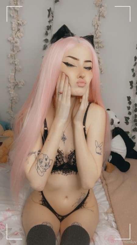 nimapie image #12