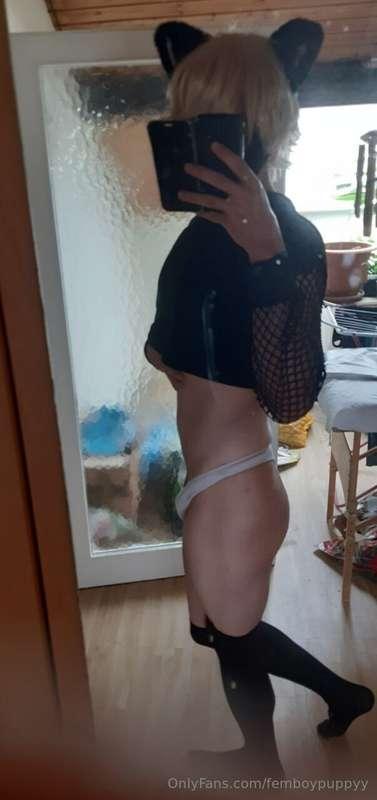 femboypuppyy image #6