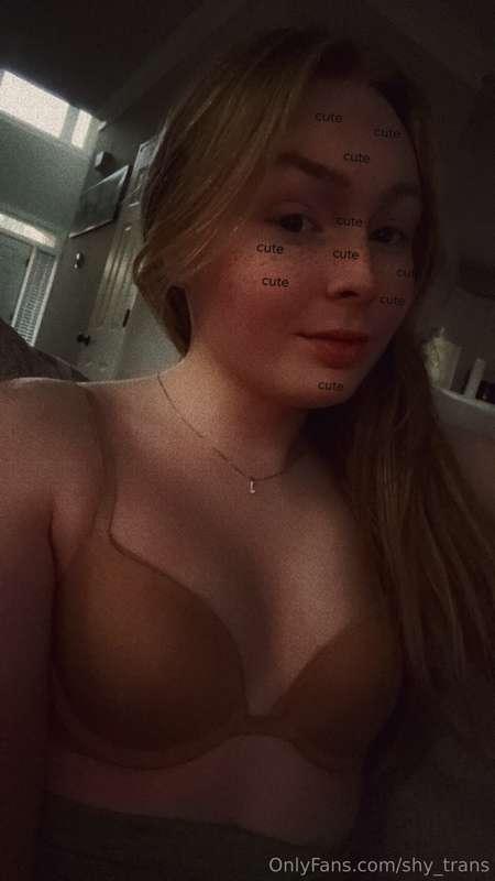 shy_trans image #2