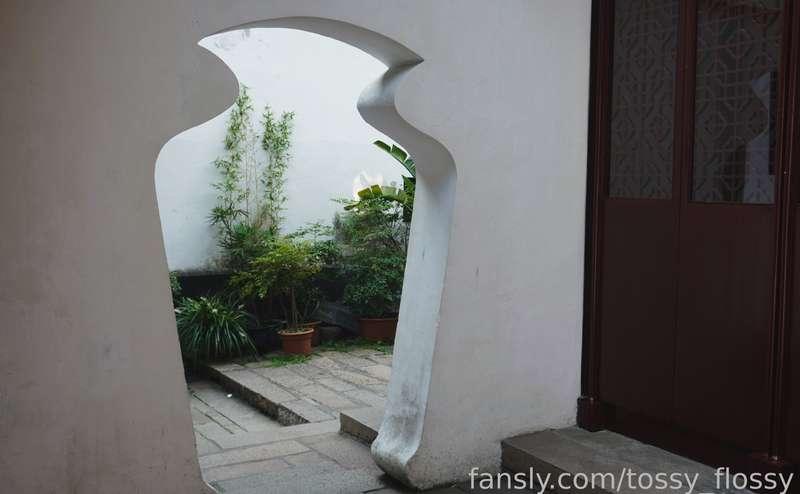 tossy_flossy image #1