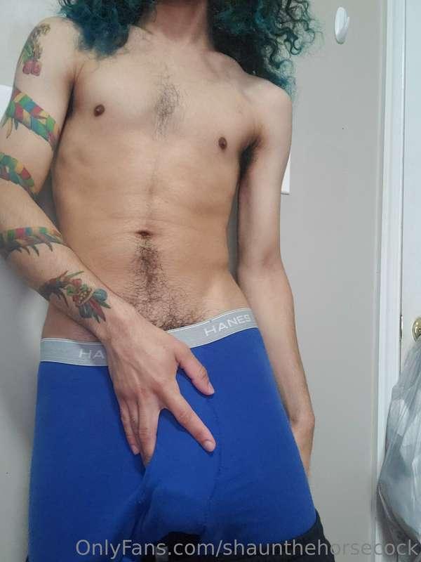 shaunthehorsecock image #2