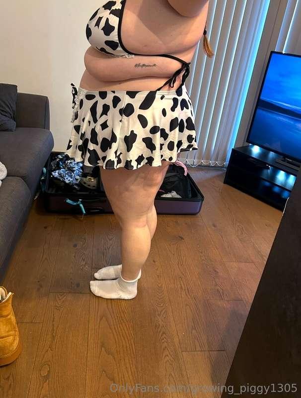 growing_piggy1305 image #4