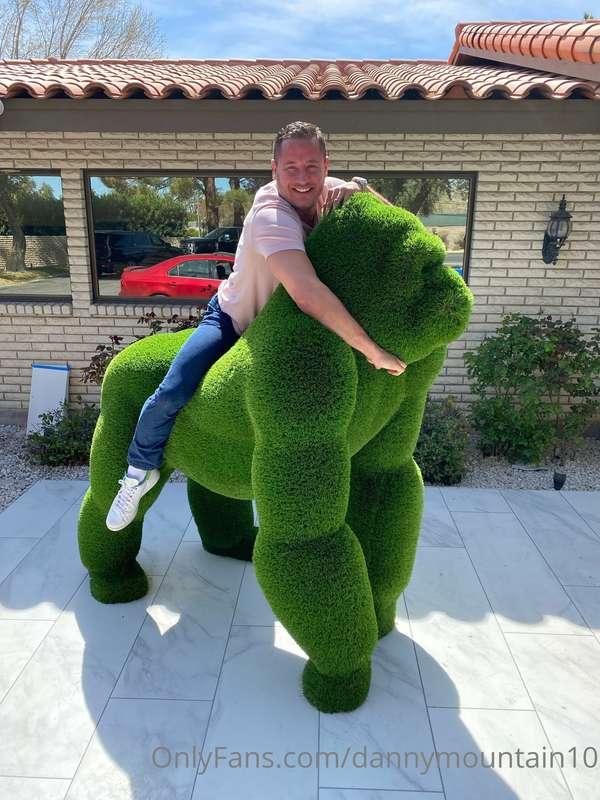 🦍💚🦍💚🦍💚🦍💚🦍💚🦍💚