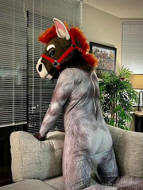 I heard you ordered some stallion cake? 😘

📸 @angel_pups