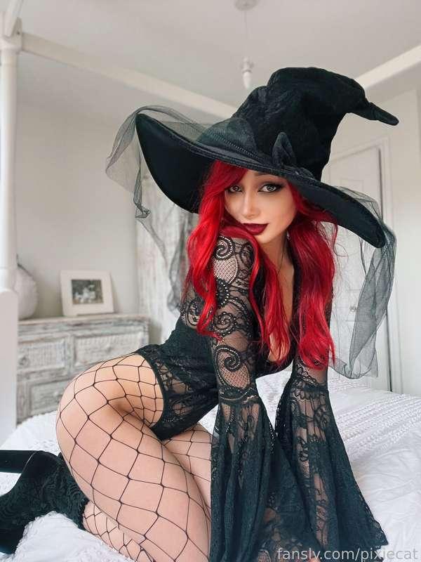 pixiecat image #12