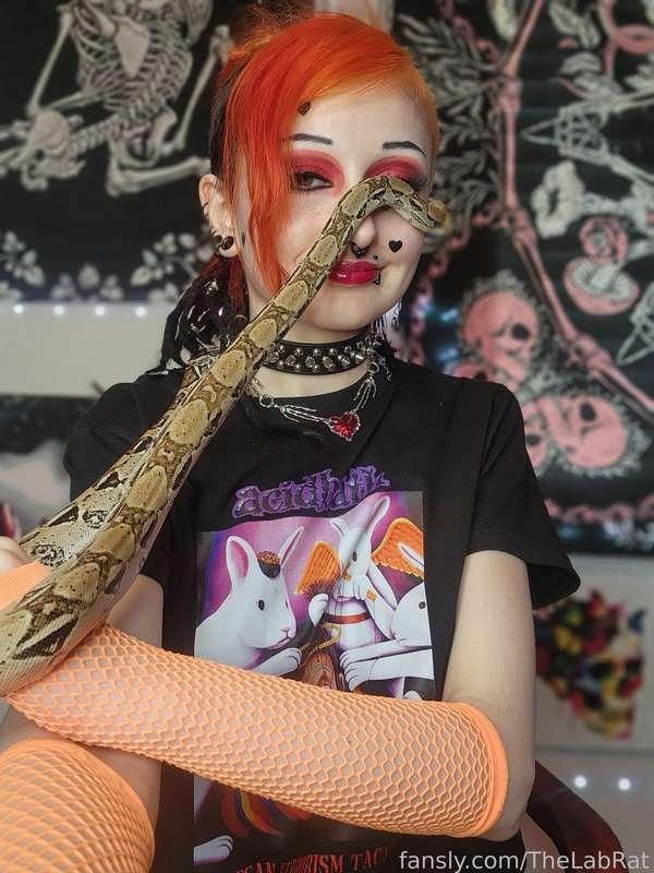 thelabrat image #3