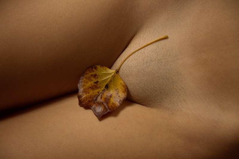 Playing around with a leaf