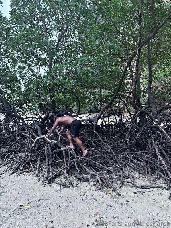 The muscles growing on these mangroves are so sharp 😂 but it..