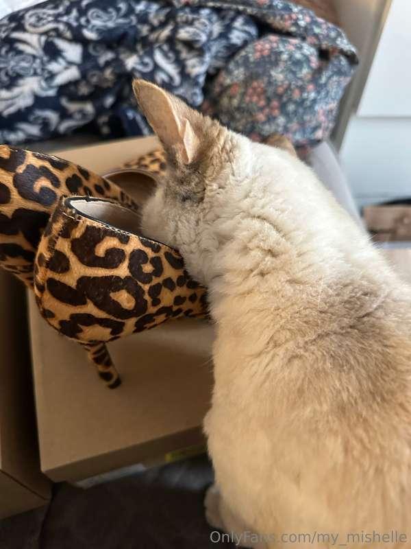 my_mishelle image #0