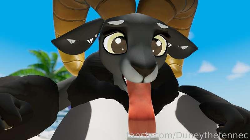 duheythefennec image #5