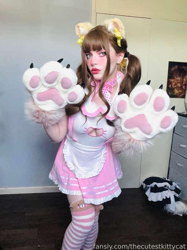 thecutestkittycat image #3