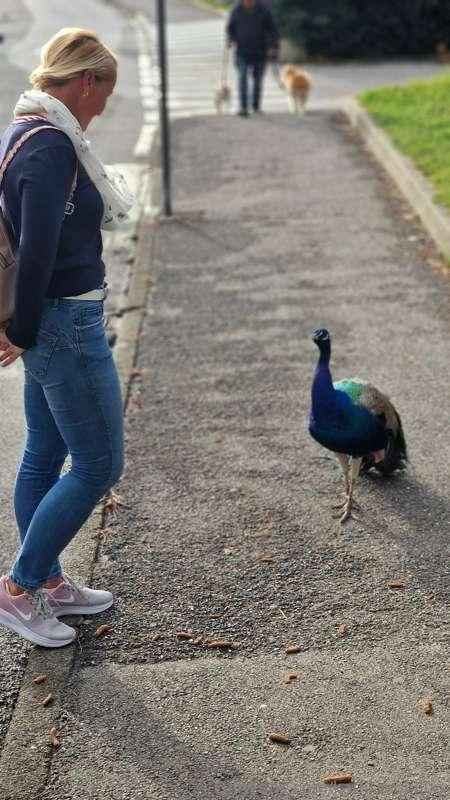 kathianobilixx image #0