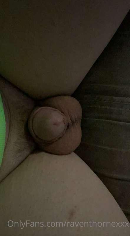 raventhorne image #3