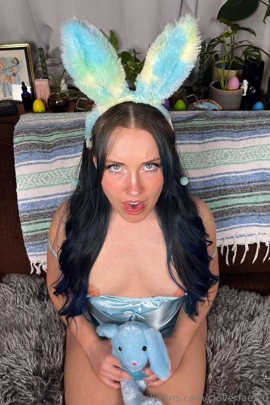 Caption this grumpy bunny photo 🐰 lol