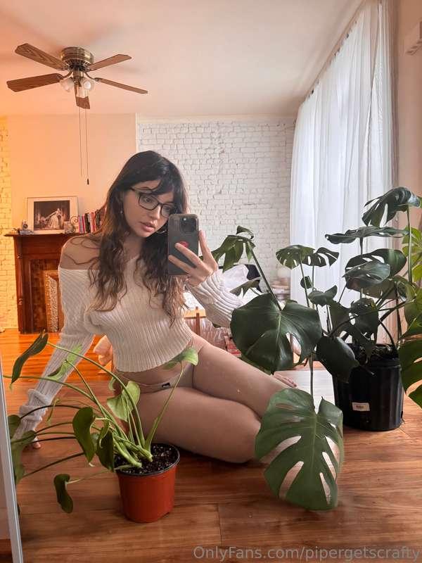 teaching myself how to properly repot my plants today, learn..