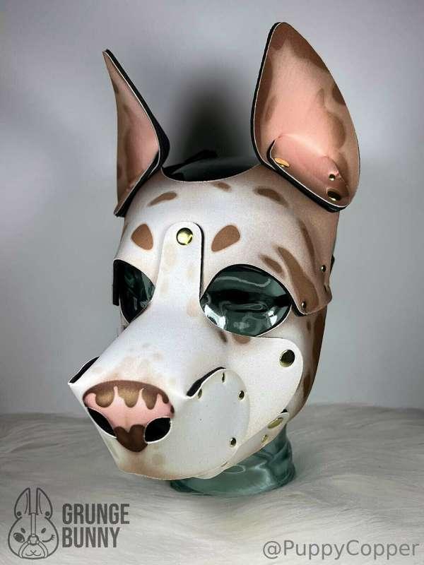 I finally ordered a pup hood!!
it's just clearing customs no..