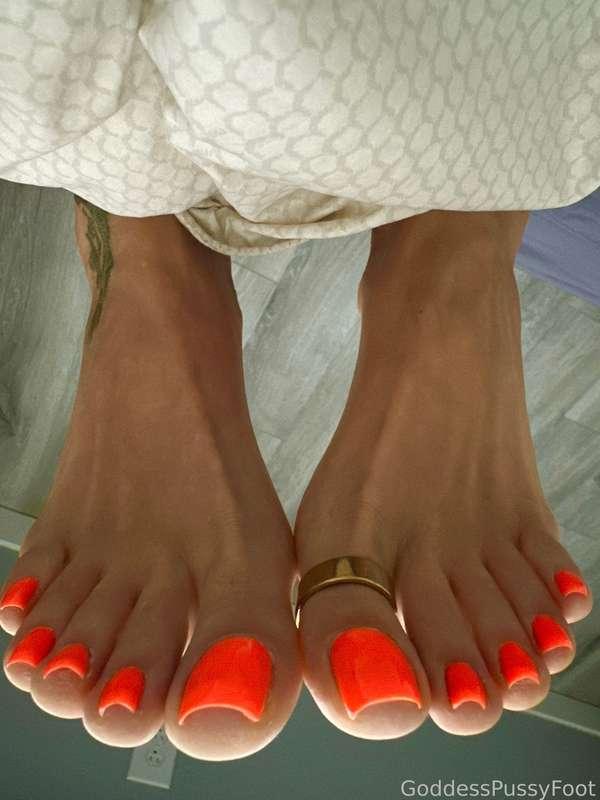 New pedi reveal 🔥🔥

#orangetoes #orangepedi #orangenails #footjewelry #toering