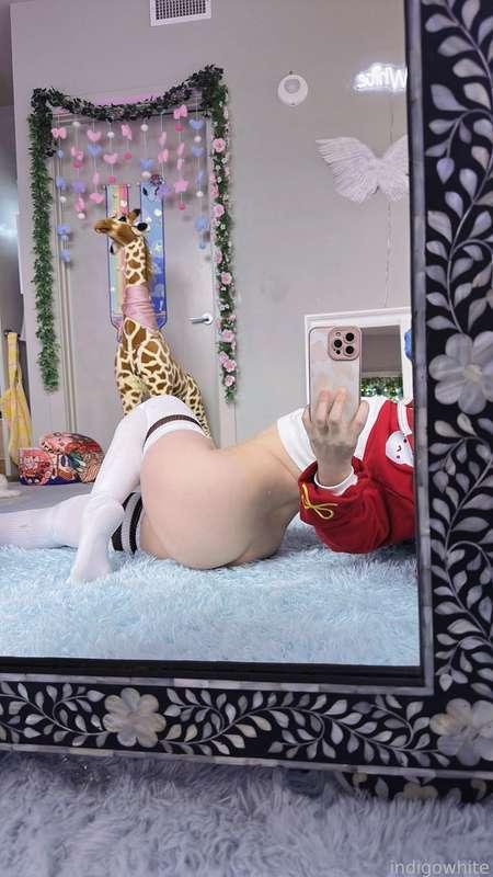 indigowhite image #152