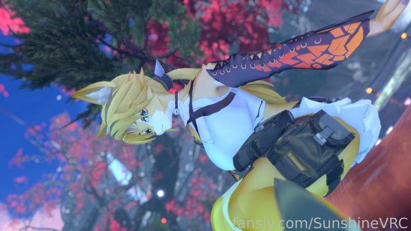 sunshinevrc image #13