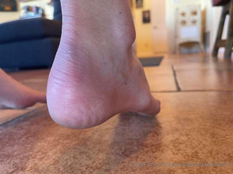 goddesszeldafeet11 image #2