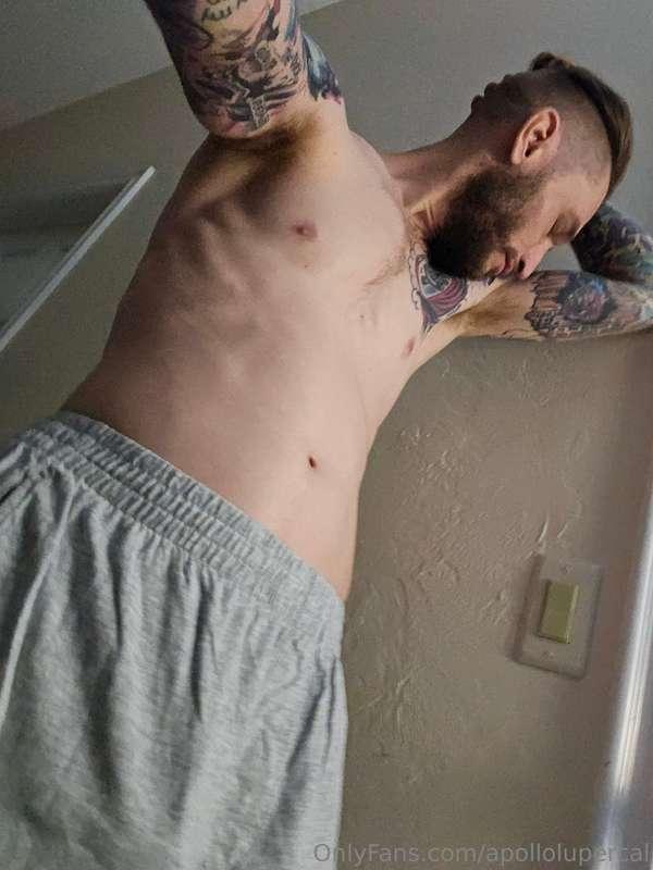 apollolupercal image #4