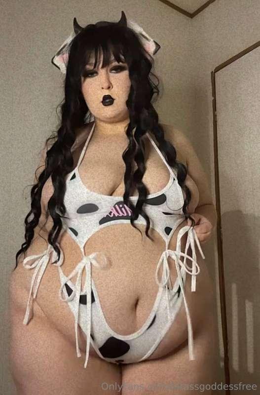 Bitch Ima Cow