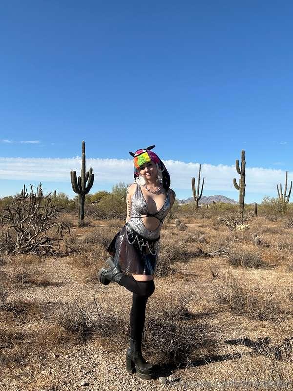 sheabriar image #1