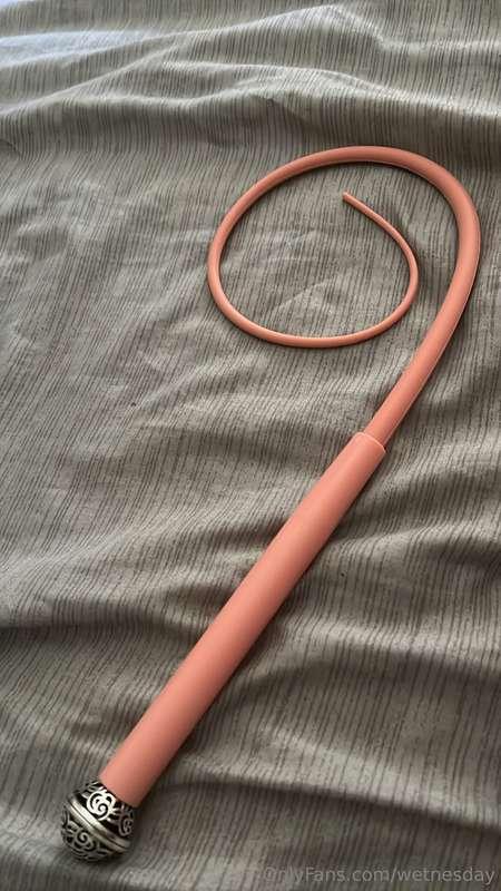 This morning practicing with my new mini whip🥰