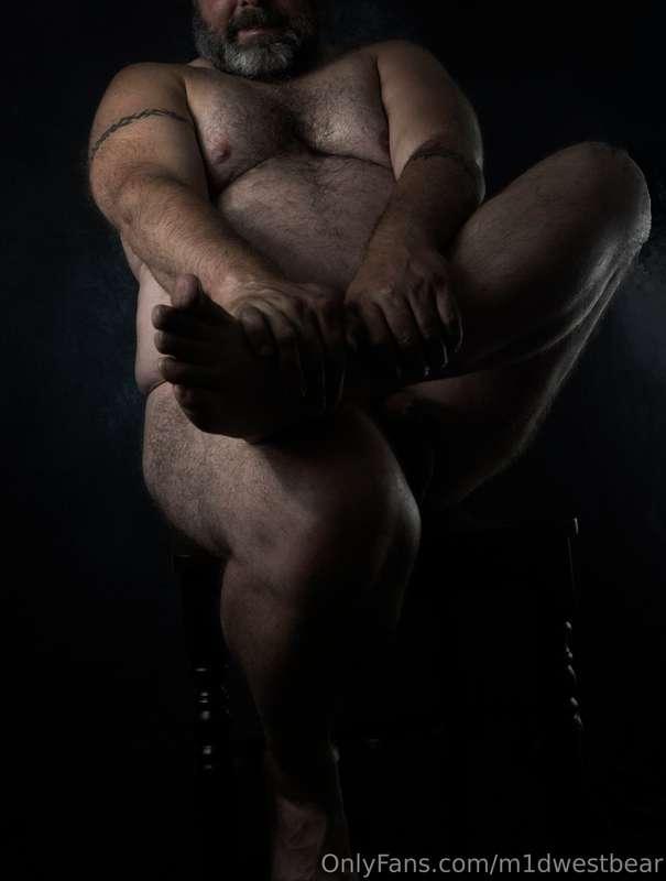 m1dwestbear image #20