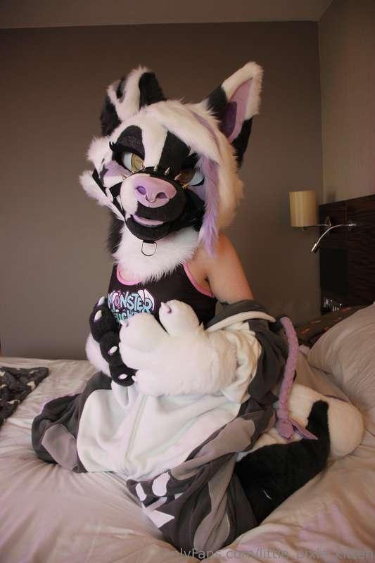 little_pixie_kitten image #6