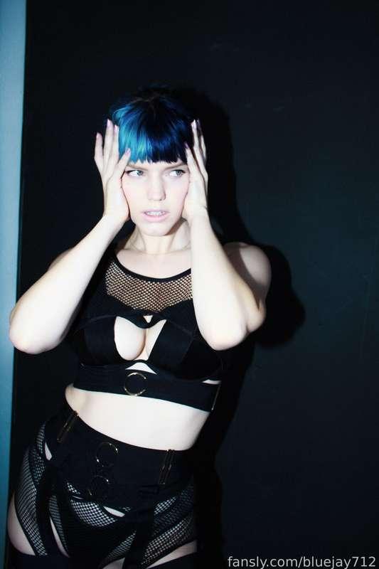 bluejay712 image #1
