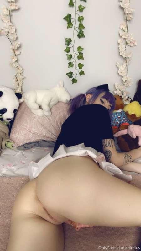 nimapie image #27